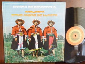 ORQUESTA RITMO ANDINO DE HUASTA/BRUSAS DE CONOCOCHA-9717 （LP）