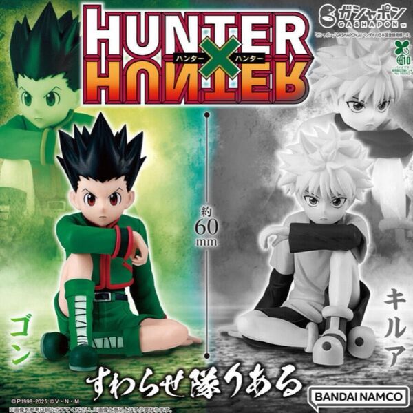 【HUNTER×HUNTER すわらせ隊りある】ゴン