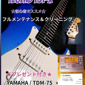 ★プレゼント付き★初心者オススメ★LEGEND LST-X