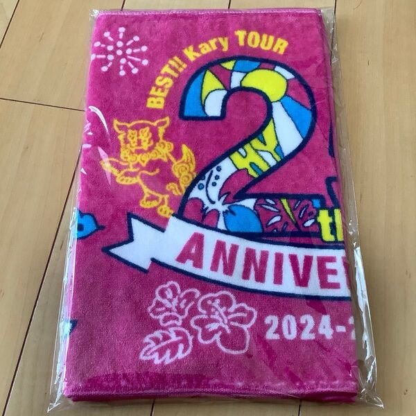 未使用 HY 25th Anniversary BEST !!Kary TOUR 2024-2025 シーサータオル