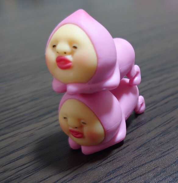 こびとづかん フィギュア 2個セット 4
