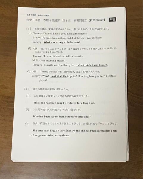 鉄緑会、新中2英語 春期内部講習 5日間 プリント