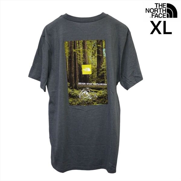 US限定 新品 ノースフェイス XL ボックス ロゴ 半袖Tシャツ グレー THE NORTH FACE
