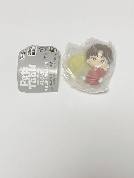 SEVENTEEN Petiteen すわらせ隊 パフォーマンスチーム パフォチ ディノ