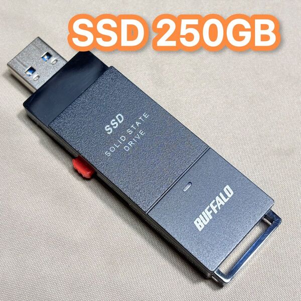 バッファロー BUFFALO SSD250GB USB3.2Gen1 ブラック SSD-PUT250U3-B/N
