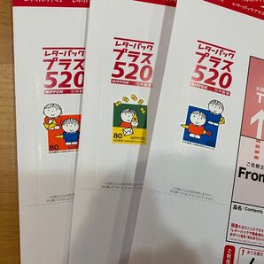 レターパック プラス3枚 封入口を折り、半分に折り曲げ発送です。雨対策のみ、厚紙補強はありません