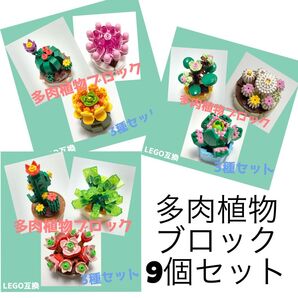 LEGO互換 作って楽しいブロック 手乗りサボテン&多肉植物9種類セット