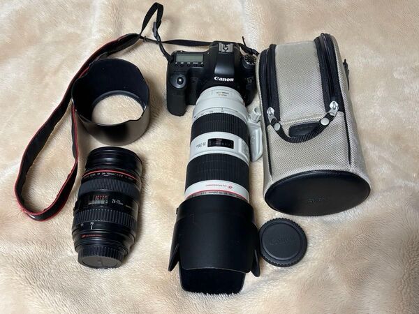 Canon EOS 6D 標準+望遠ズームレンズセット
