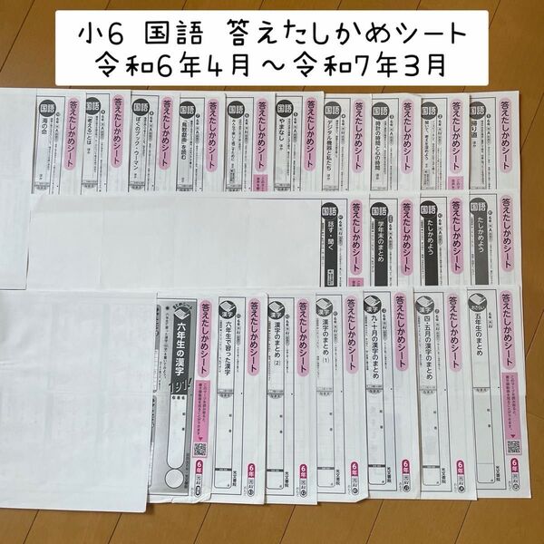小6 国語カラーテスト 答えたしかめシート 21枚セット