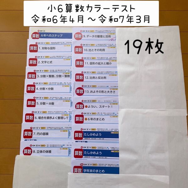 小6算数 カラーテスト19枚 まとめ売り 啓林館 光文書院