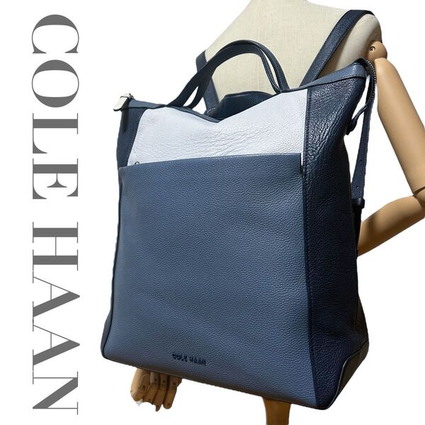 外観美品 コールハーン COLE HAAN リュックサック バックパック デイパック A4 通勤 通学 レディース メンズ 紺青白