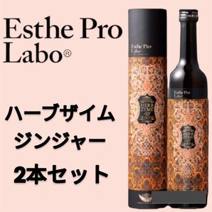 【2本】エステプロラボ ハーブザイム ジンジャー