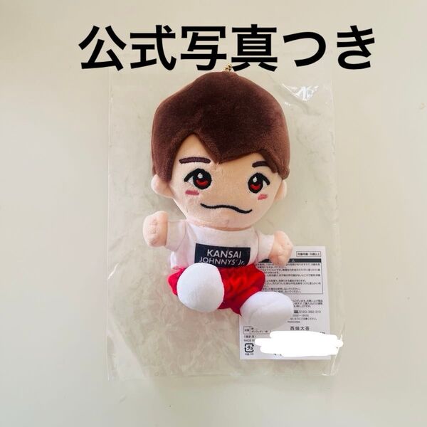 【限界値下げ】なにわ男子 西畑大吾 ちびぬい