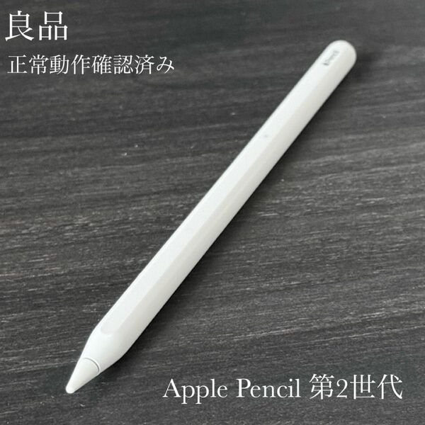 良品 正常動作確認済み Apple Pencil 2 MU8F2J/A a2