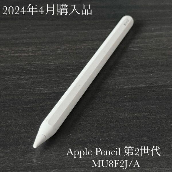 2024年4月購入品 正常動作確認済み Apple Pencil 第2世代 MU8F2J/A