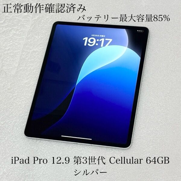 正常動作確認済み バッテリー最大容量85% iPad Pro 12.9インチ 第3世代 Cellular 64GB SIMフリー