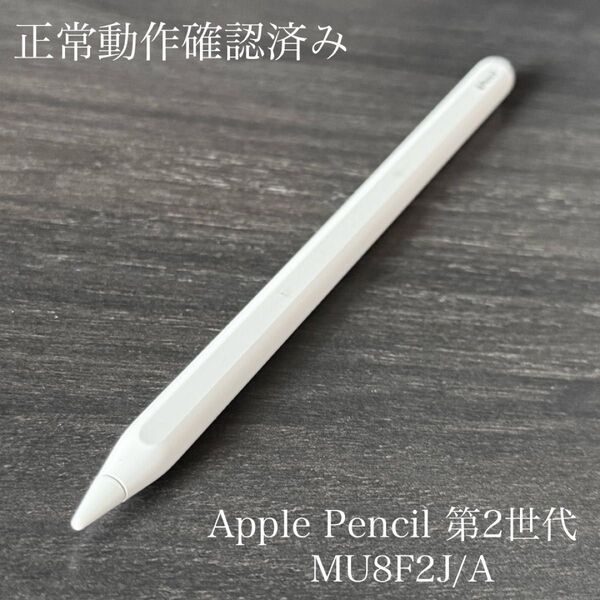 正常動作確認済み Apple Pencil 第2世代 MU8F2J/A s10