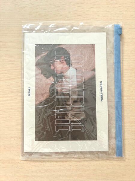 SEVENTEEN INCOMPLETE ミニフォトブック THE8