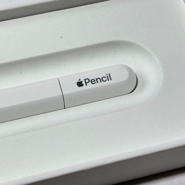 Apple Pencil USB-C MUWA3ZA/A ホワイト A3085 アップルペンシル