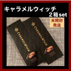 【未開封発送】キャラメルウィッチ テラコンフェクト 5個入×2箱 東京土産 ショップ袋OK