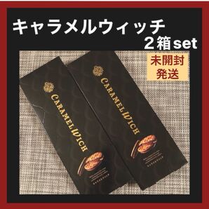 【未開封発送】キャラメルウィッチ テラコンフェクト 5個入×2箱 東京土産 ショップ袋OK