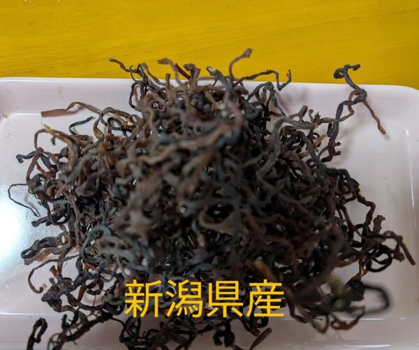 ぜんまい 乾燥 100g 新潟県産