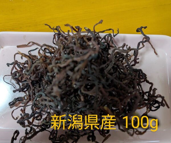 乾燥ぜんまい 100g 新潟県産