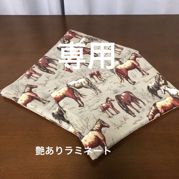 専用 ハンドメイド ラミネートフラットポーチ2点セット(キャスキッドソン)