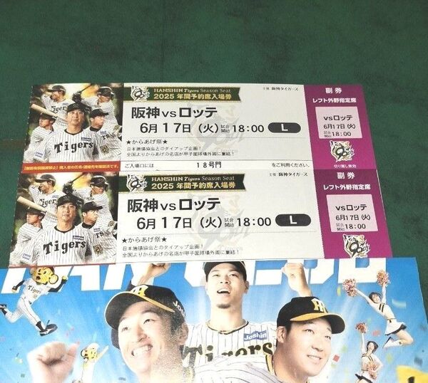 6月17日(火曜)18時-☆阪神vsロッテ/レフト外野*下段指定席《2枚》阪神タイガース甲子園チケット・セパ交流戦