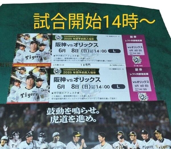 6月8日(日曜)14時-/阪神vsオリックス/レフト外野*下段指定席《2枚》阪神タイガース甲子園チケット/交流戦☆関西ダービー