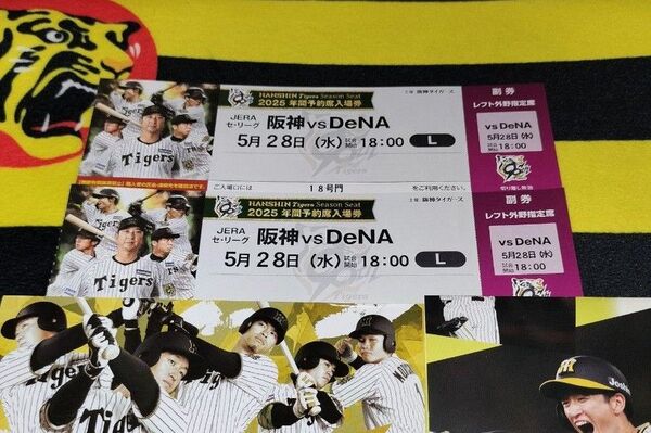 【5/28(水曜)】18時-/阪神vsDeNA☆レフト外野*下段指定席《2枚セット》阪神タイガース甲子園球場チケット