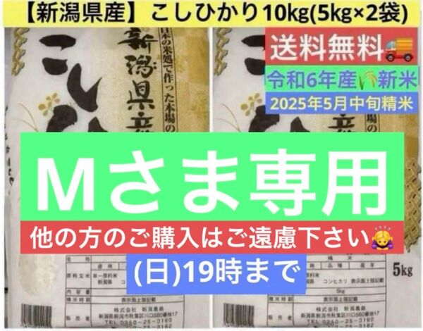【土日限定価格】新潟県産 令和6年産 こしひかり10㎏ (5㎏×2袋) 送料無料 5月中旬精米仕立ての美味しお米をご自宅へお届け