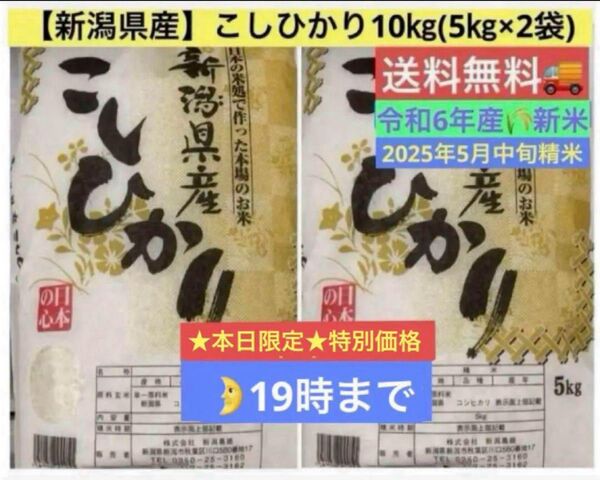本日限り【新潟県産】令和6年産 新米こしひかり10㎏ (5㎏×2袋) 送料無料2025年5月中旬精米