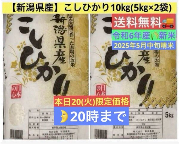 ★本日限り特別価格★【新潟県産】こしひかり 10kg(5kg×2袋) 令和6年産新米 ( 2025年5月中旬精米 )