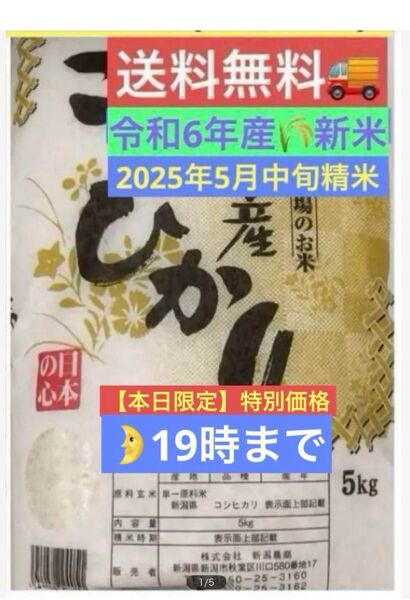 米処本場【新潟県産】こしひかり5㎏×1袋★令和6年産★新米★2025年5月中旬精米★送料無料★