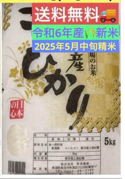 米処本場【新潟県産】こしひかり5㎏×1袋★令和6年産★新米★2025年5月中旬精米★送料無料★