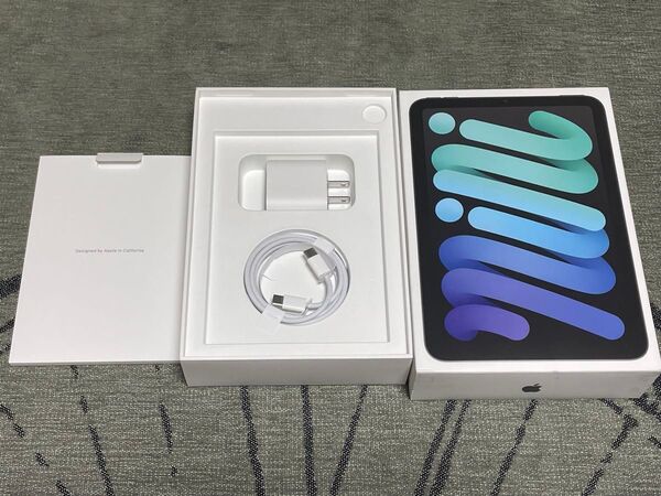 iPad mini 7 M17pro 256GB wifi+cellular SIMフリー アメリカ版 AppleCare有