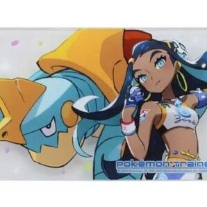 5/18まで Nintendo Switch カバー ルリナ&カジリガメ