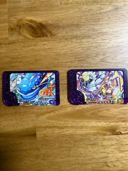 ポケモンフレンダ第5弾スーパートレジャー ヘイラッシャ、タケルライコ