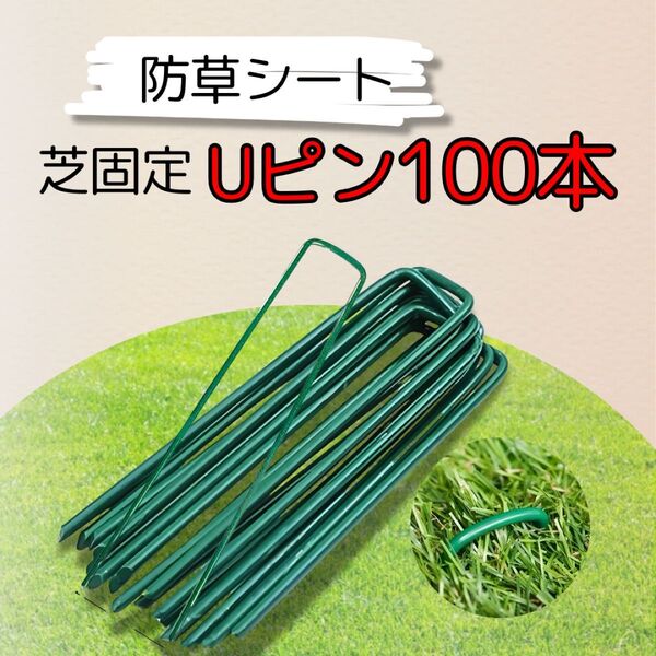 防草シート 人工芝固定Uピン 100本 グリーン ガーデニング テント張り
