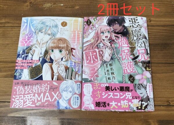 悪魔な兄が過保護で困ってます 1 (FK comics) 仕事人間な伯爵令嬢は氷の宰相様の愛を見誤っている mako 椎名秋乃