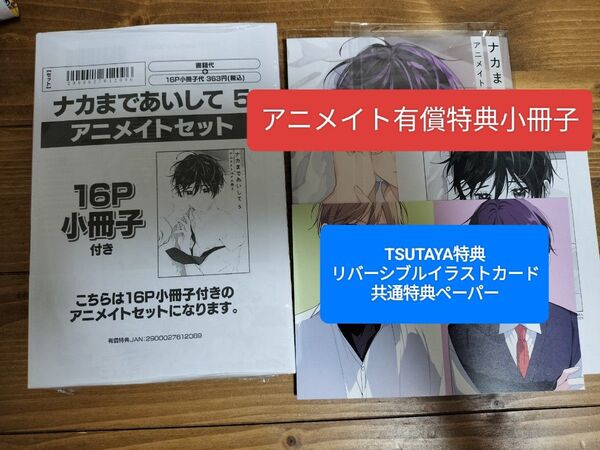 ナカまであいして 5 有償特典 TSUTAYA特典 特典 イラストカード 小冊子