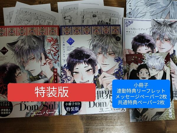 こっち向いてグレア 下 特装版 デイジーコミックス/晴屋うまこ 〔コミック〕 上下 アニメイト特典 リーフレット