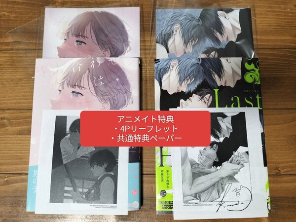 Last Heaven 熊本まさし 待ち合わせはさそり座のどこかで majoccoid アニメイト特典 リーフレット ペーパー