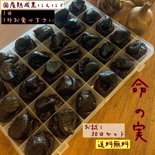 国産熟成黒にんにく 命の実 お試し30日セット 黒にんにく