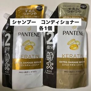 パンテーン エクストラダメージリペア 詰め替え 特大サイズ 2個セット シャンプー コンディショナー 通常サイズの2個分!