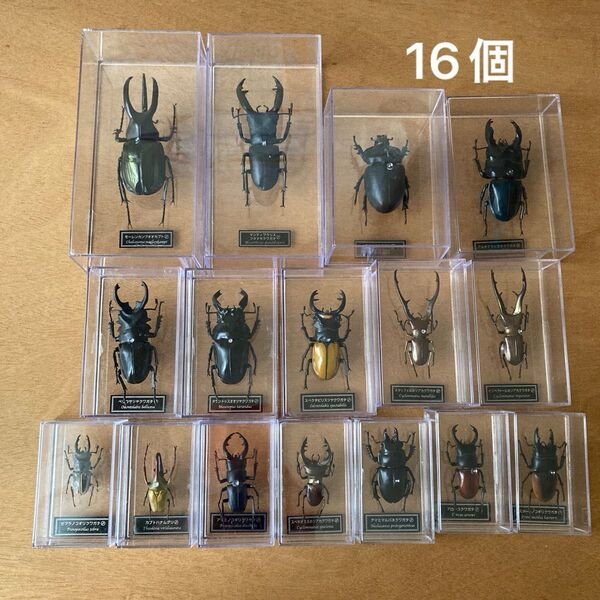 デアゴスティーニ 世界の昆虫 フィギュア