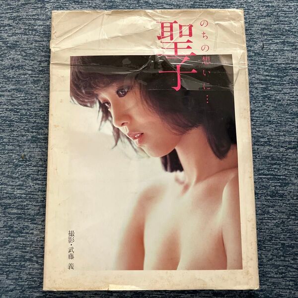 松田聖子写真集 のちの想いに…聖子