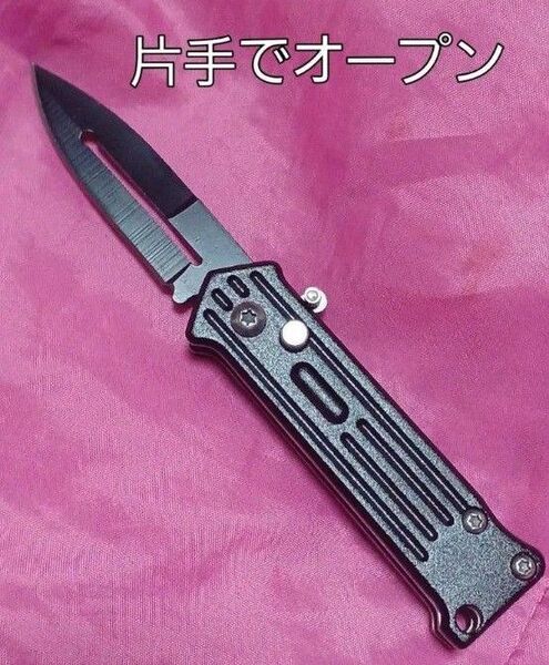 値下 刃渡り5.5cm未満 ミニナイフ アシストオープン 折りたたみナイフ