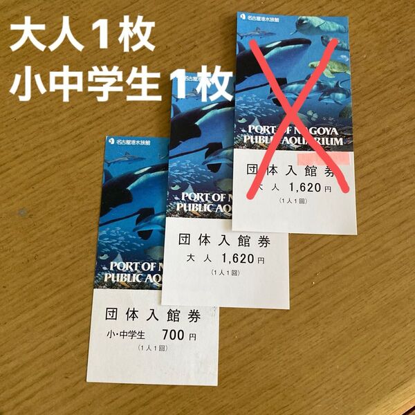 名古屋港水族館 団体入館券 大人1枚 小中学生1枚 2枚セット